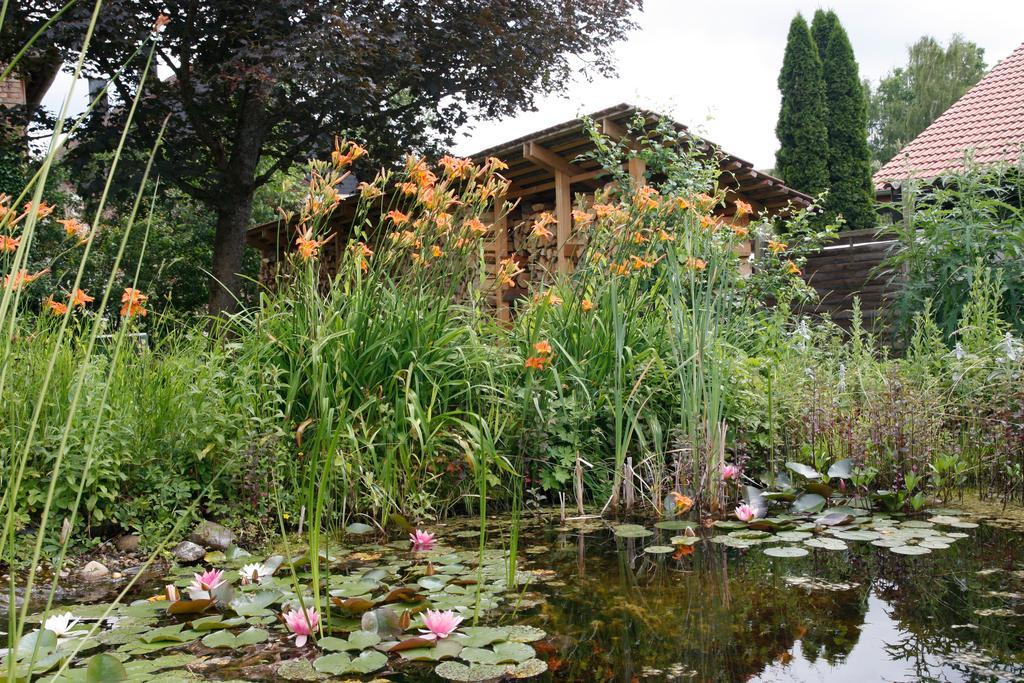 Gemuetliche Gaestezimmer In Einem Neu Sanierten Fachwerkhaus Sachsenheim Ngoại thất bức ảnh